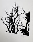 Print Sale - 8x10 Nature Silhouettes - Snow Lined Branches - Black and White Photograph Print on Matte Paper - Ready to Ship