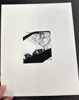 Print Sale - 8x10 Nature Silhouettes - Ferns on Tree - Black and White Photograph Print on Matte Paper - Ready to Ship
