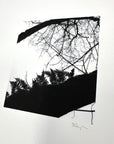 Print Sale - 8x10 Nature Silhouettes - Ferns on Tree - Black and White Photograph Print on Matte Paper - Ready to Ship
