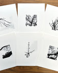 Print Sale - 8x10 Nature Silhouettes - Ferns on Tree - Black and White Photograph Print on Matte Paper - Ready to Ship