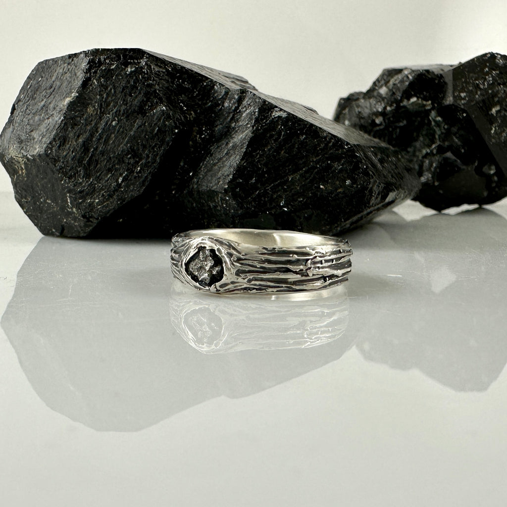 custom tree bark and meteorite