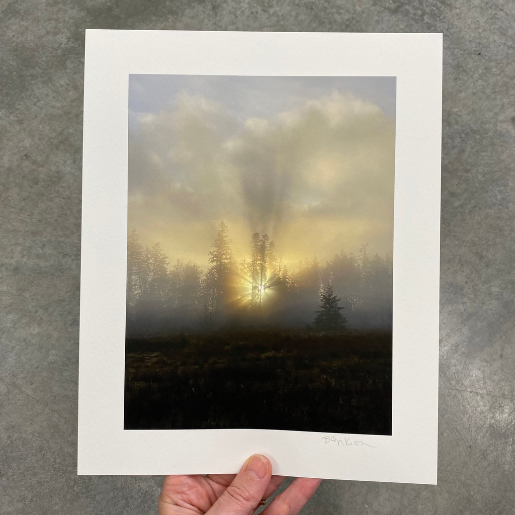 Radiant Sunrise Through the Trees - Photograph Print on Matte Paper - Print to Order
