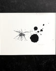 Spider in Ink - Art Print - Print to Order