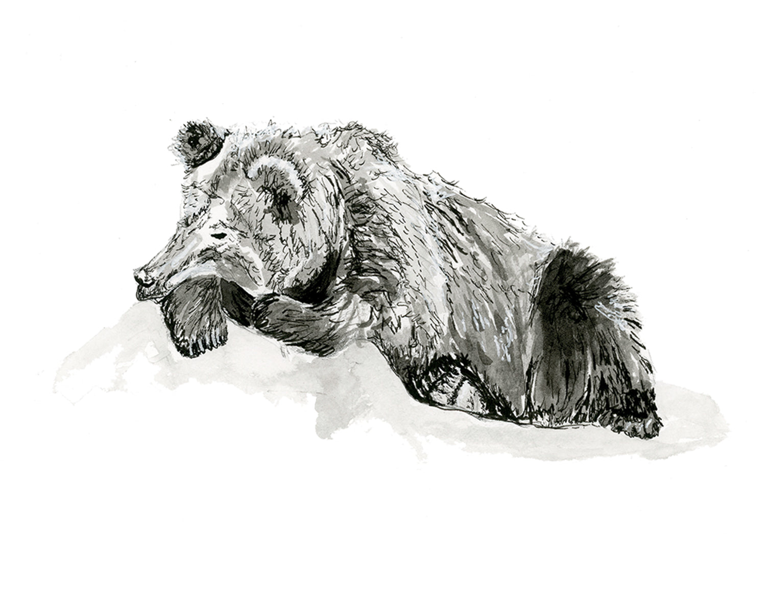 15 minute Yoga Nidra Sessions - Live via Zoom