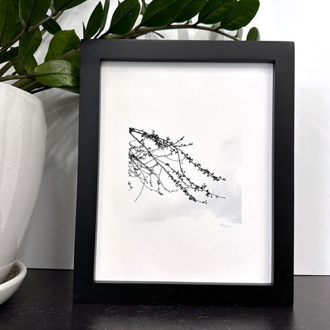 Nature Silhouettes - Tiny Blossom Spray - Black and White Photograph Print on Matte Paper - Print to Order
