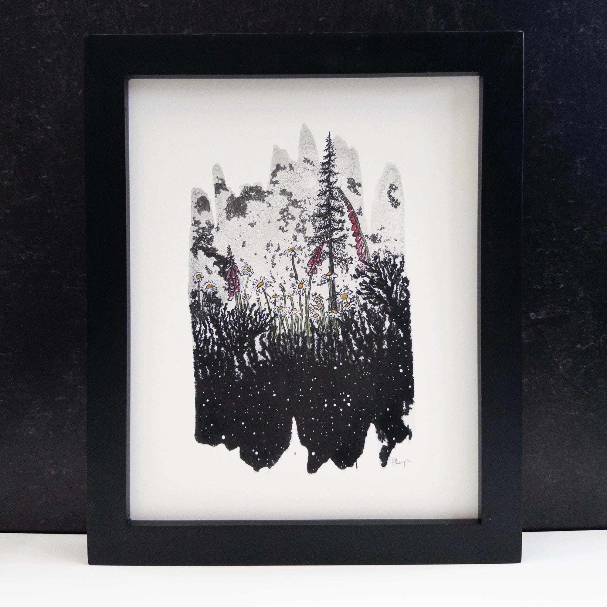 Collection Image