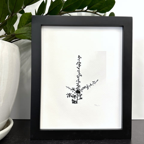 Nature Silhouettes - Early Spring Blossoms - Black and White Photograph Print on Matte Paper - Print to Order