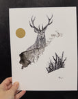 The Stag - 8"x10" Original Drawing/Painting - Ready to Ship