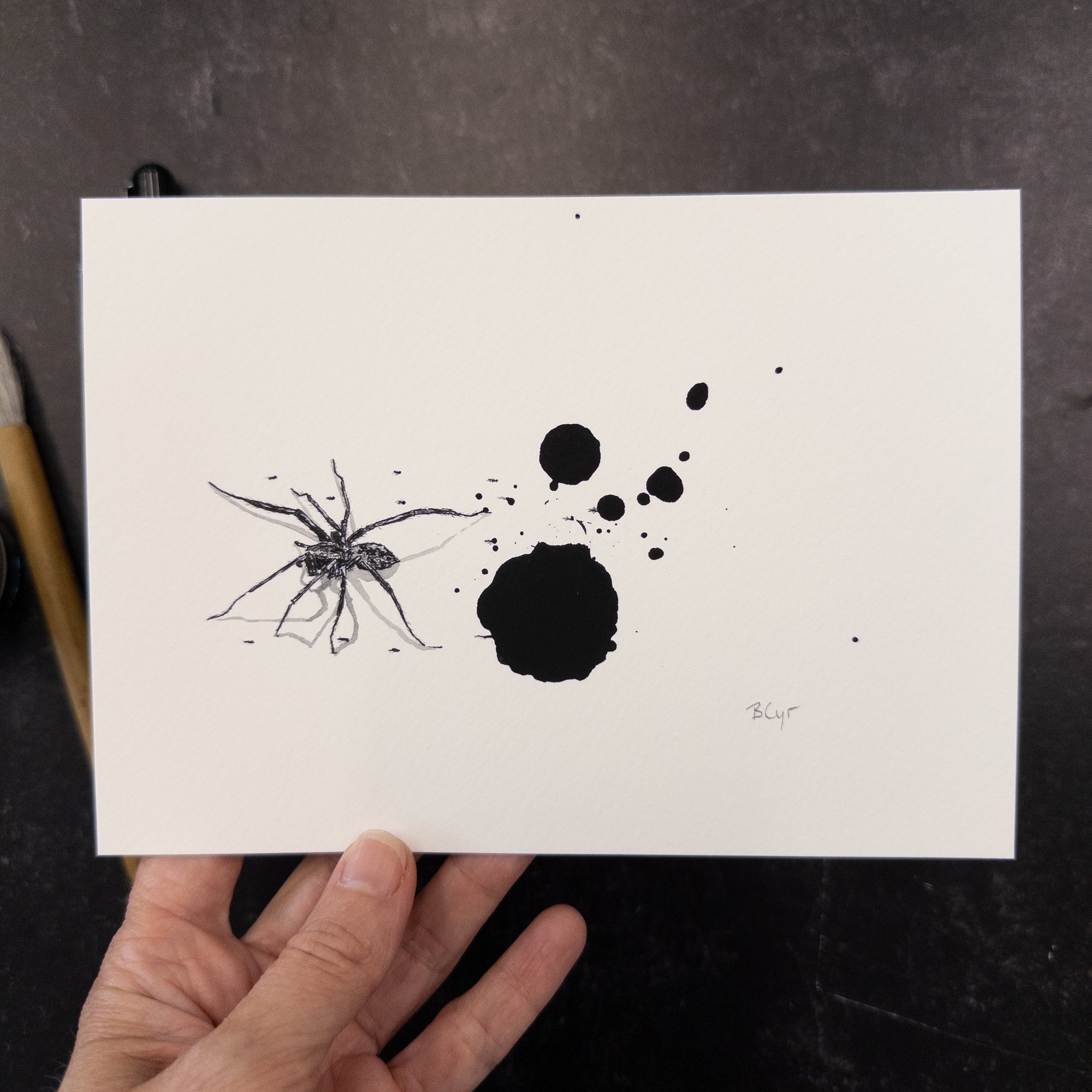 Print Sale - 6x8" Spider in Ink - Art Print - Ready to Ship