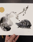 Print Sale - 8" x 10" Turtle Friend - Pen and Ink Drawing - Ready to Ship Print