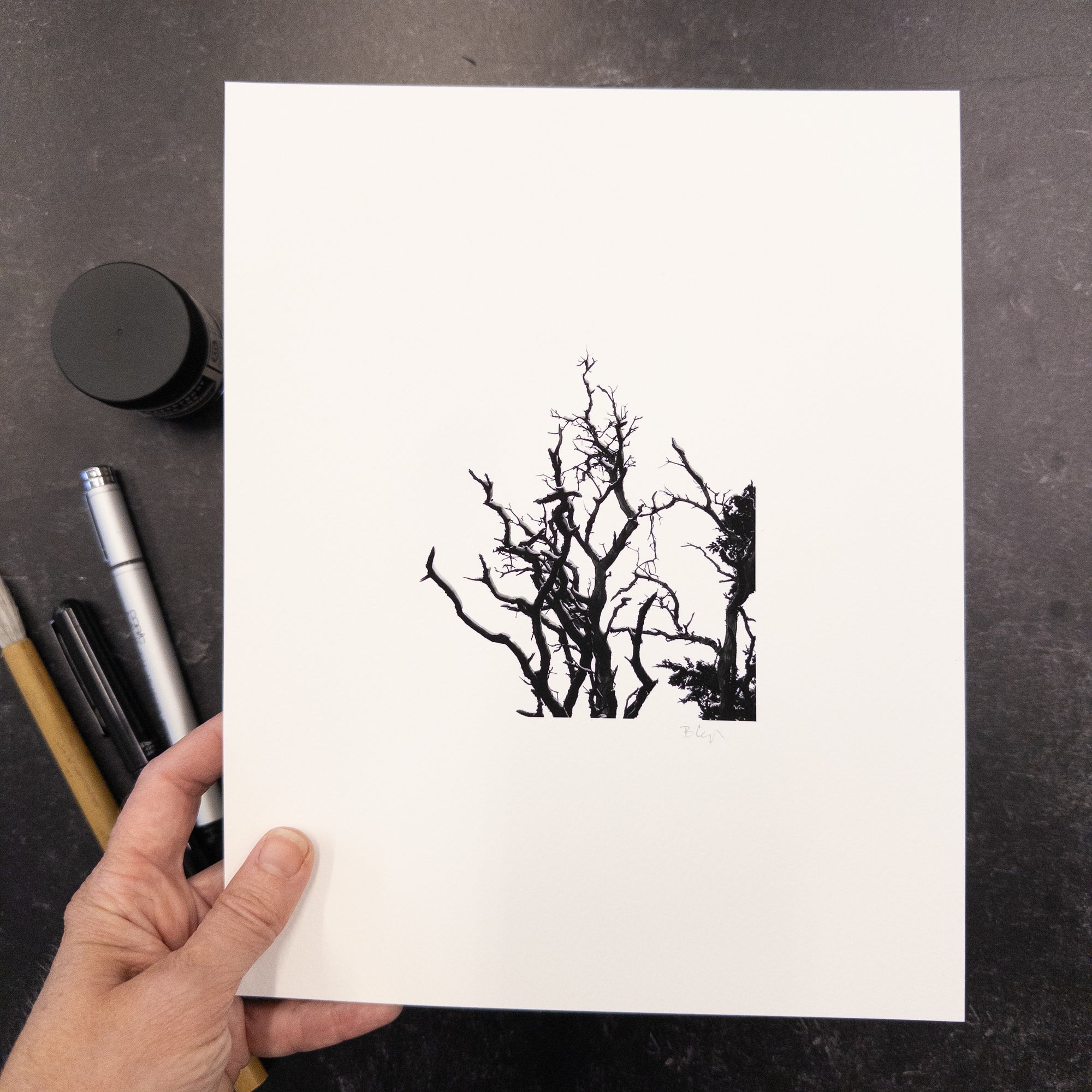 Print Sale - 8x10 Nature Silhouettes - Snow Lined Branches - Black and White Photograph Print on Matte Paper - Ready to Ship