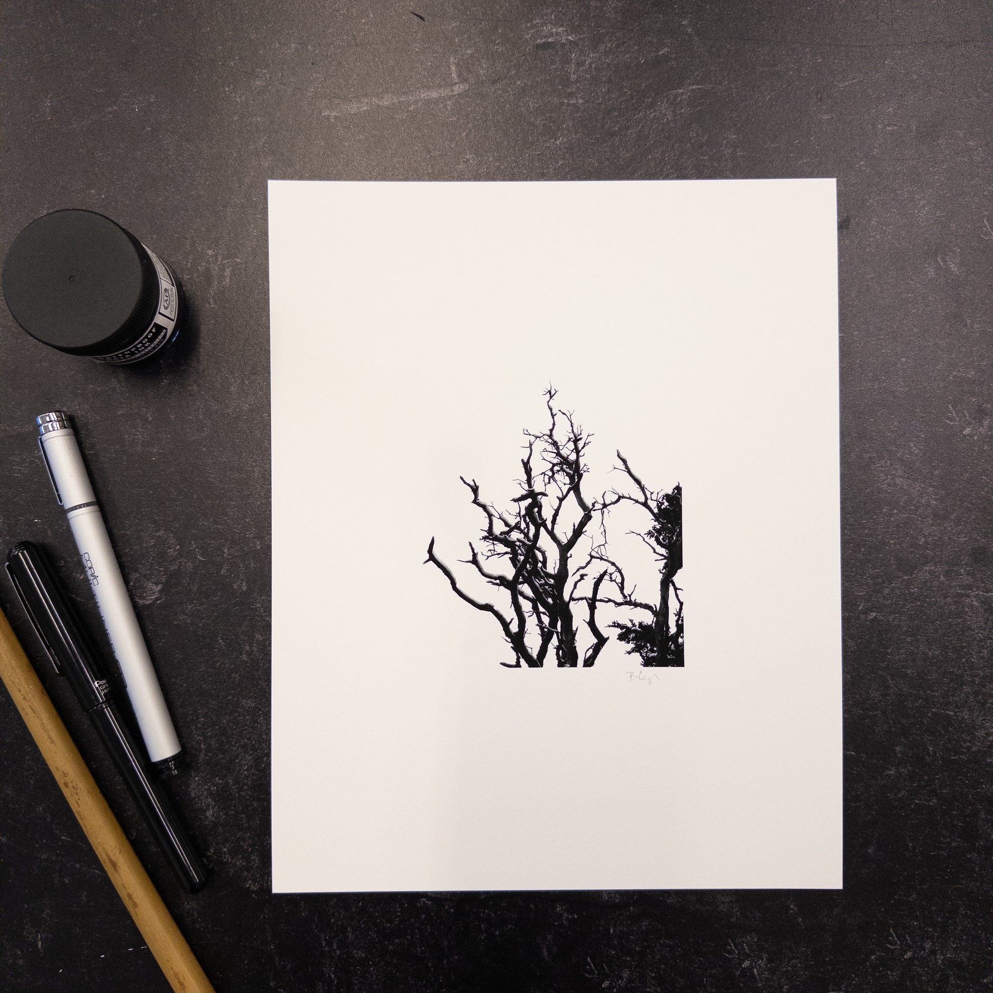 Print Sale - 8x10 Nature Silhouettes - Snow Lined Branches - Black and White Photograph Print on Matte Paper - Ready to Ship