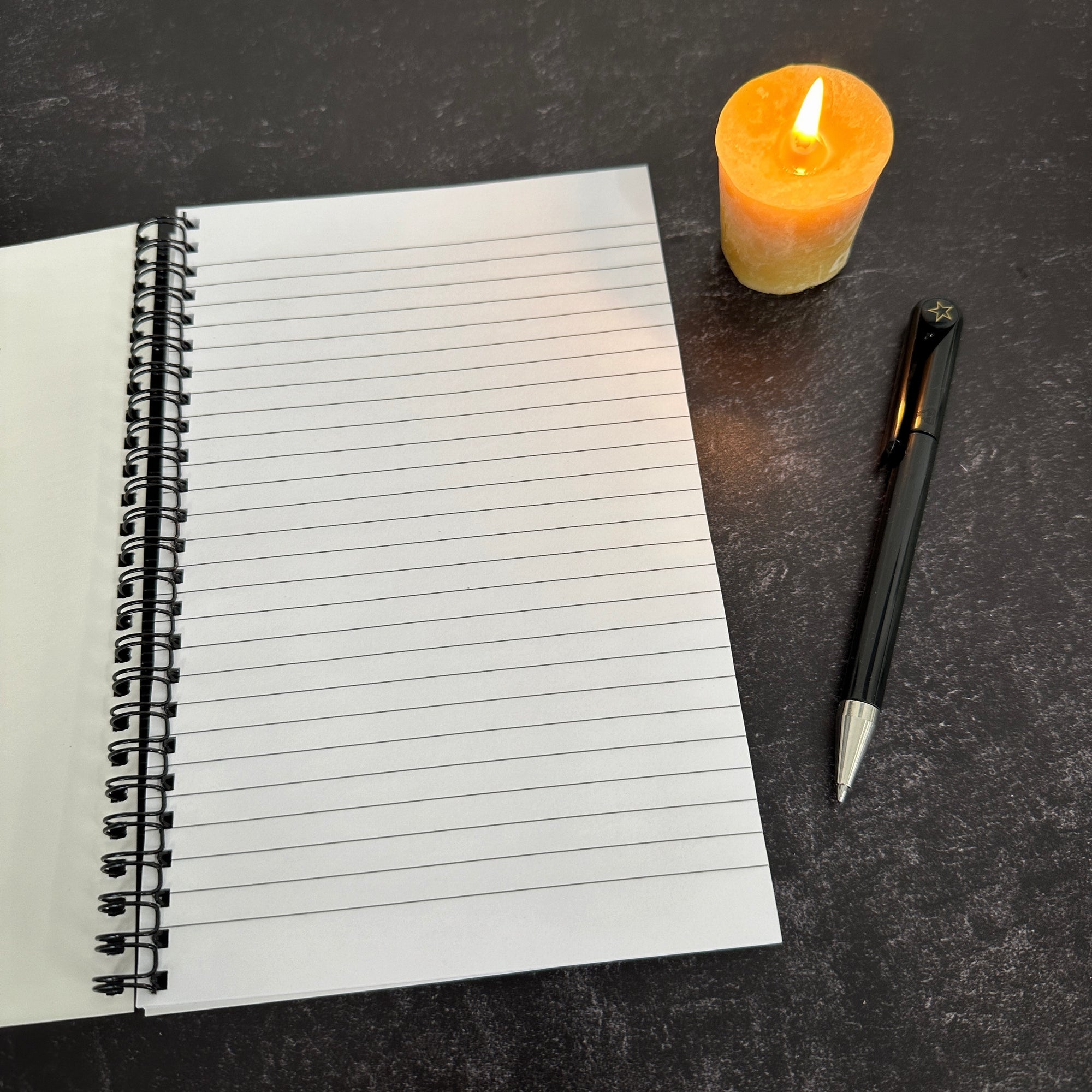Snake Notebook - Journal/Sketchbook - Blank or Lined - Ready to Ship