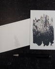 Midnight Flowers Postcards - Set of 2 or Single Design - Ready to Ship