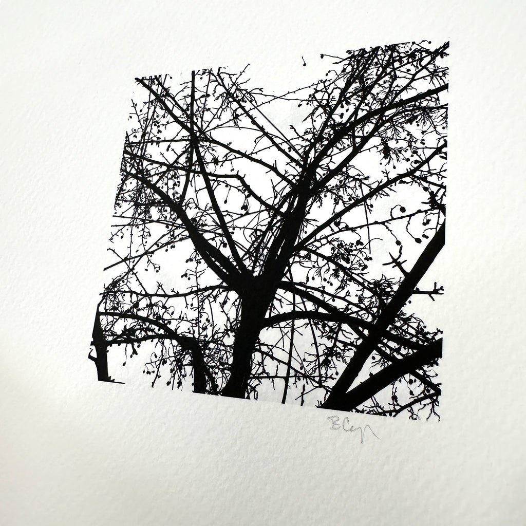 Nature Silhouettes - Berry Branches - Black and White Photograph Print on Matte Paper - Print to Order