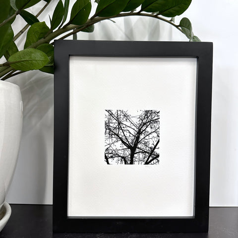 Nature Silhouettes - Berry Branches - Black and White Photograph Print on Matte Paper - Print to Order