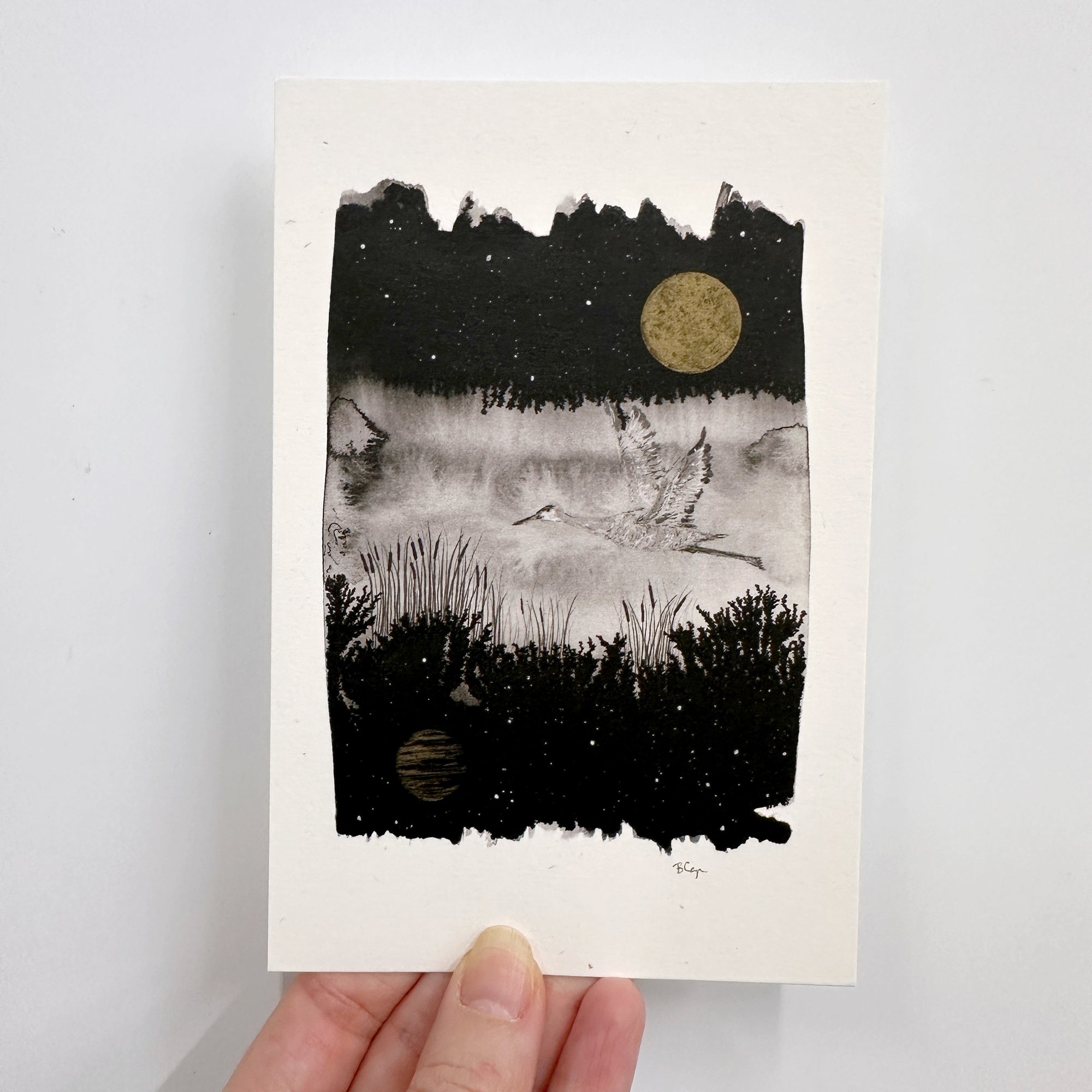 Postcards - Set of 6 - Ready to Ship