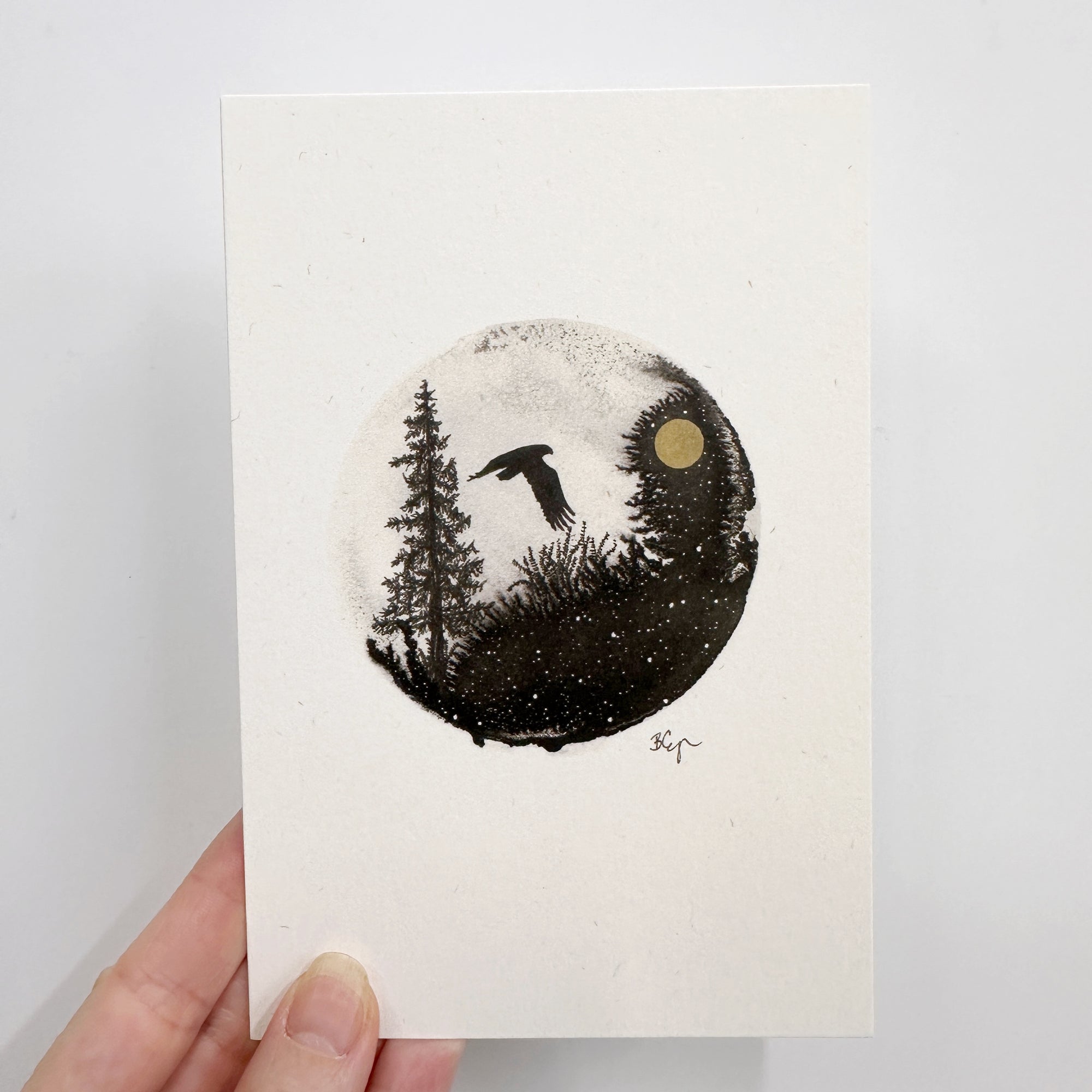 Postcards - Set of 6 - Ready to Ship