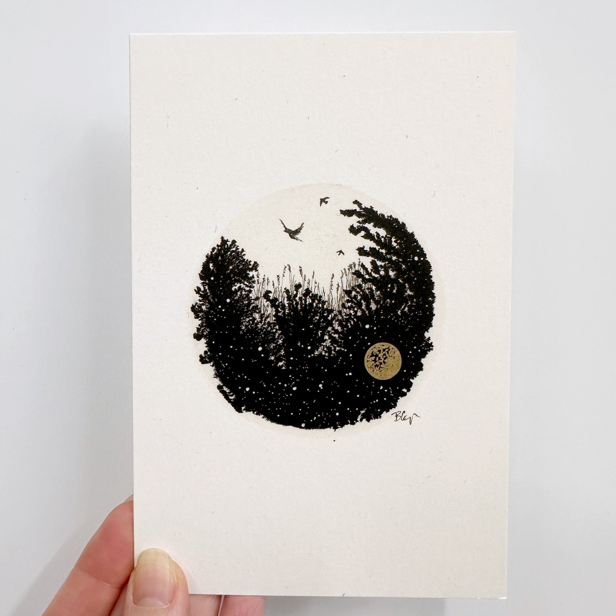 Postcards - Set of 6 - Ready to Ship