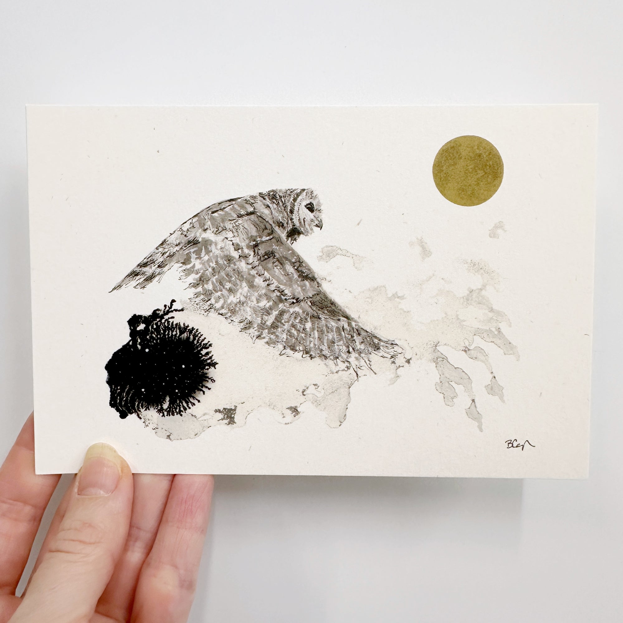 Postcards - Set of 6 - Ready to Ship