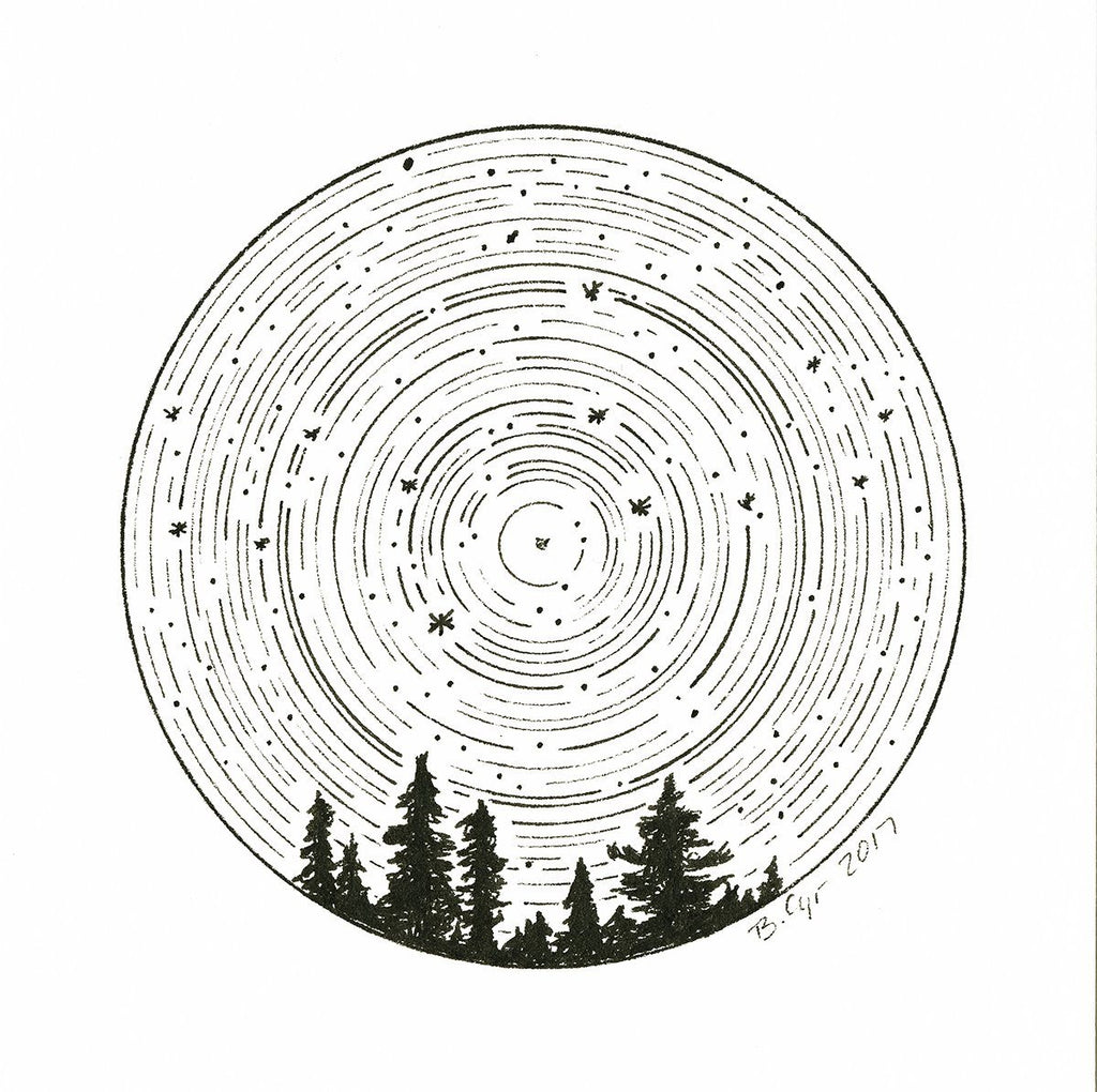 Leo - Star Trails - Zodiac Constellations - Pen and Ink Drawing Print - Beth Cyr Handmade Jewelry