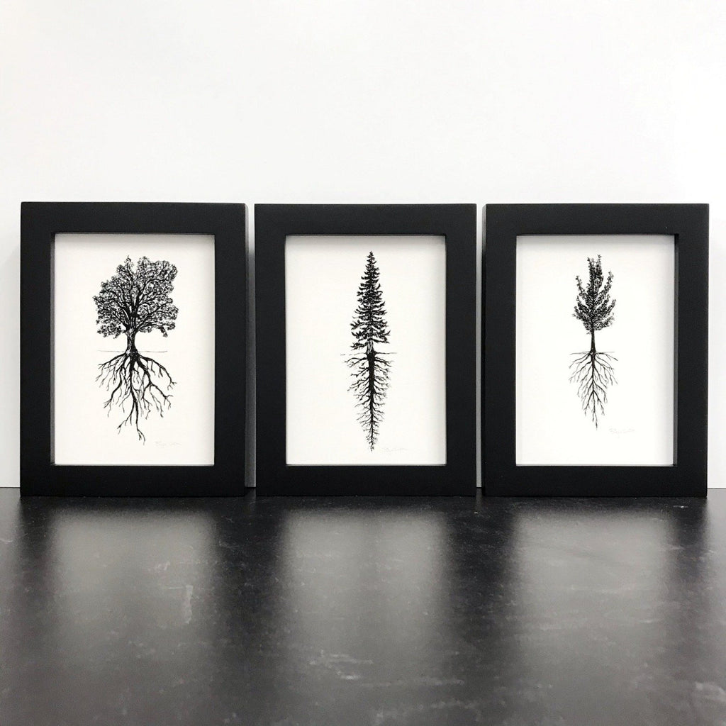 Trees and Roots - Fir, Oak, or Gingko - Pen and Ink Drawing Print - Beth Cyr Handmade Jewelry