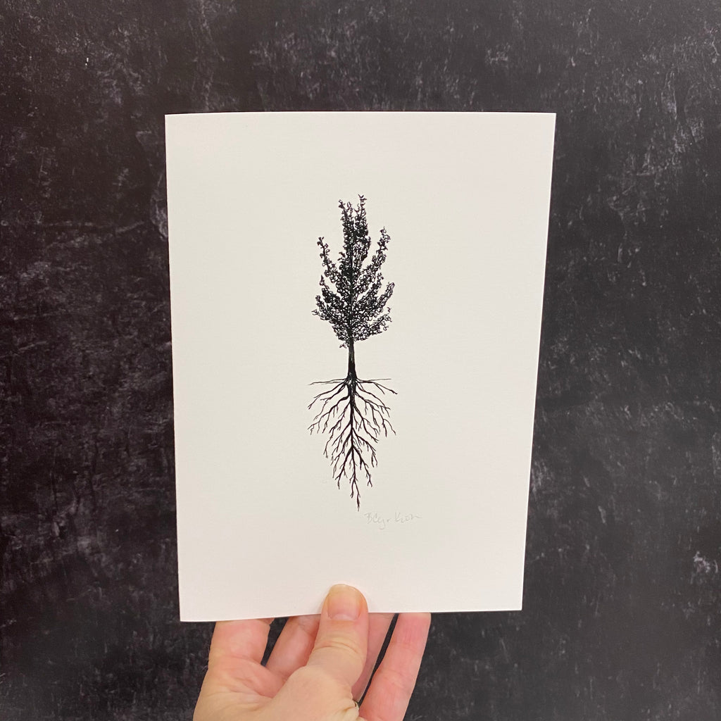 Miscellaneous Notecard Set - card size 5 x 7 - ready to ship